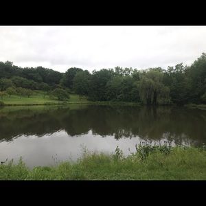 Meet your Posher, Charlotte